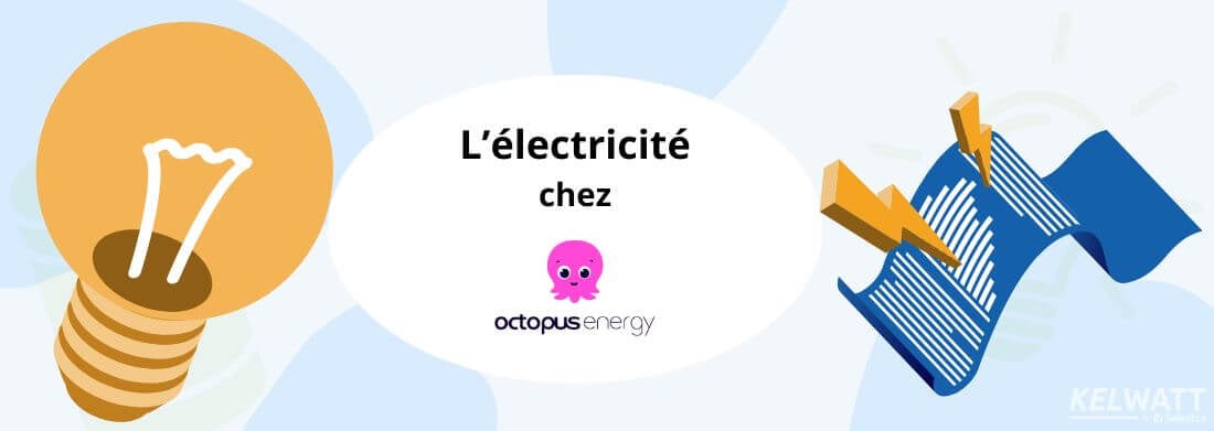 offre d'électricité Eco-conso Fixe d'Octopus Energy