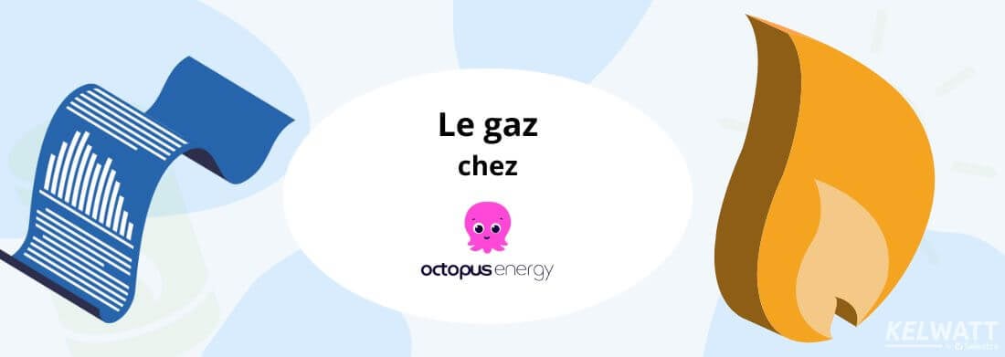 offre de gaz Eco-conso Gaz d'Octopus Energy