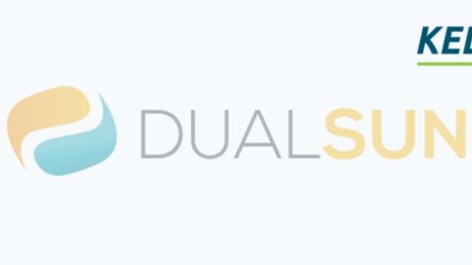 Logo DualSun